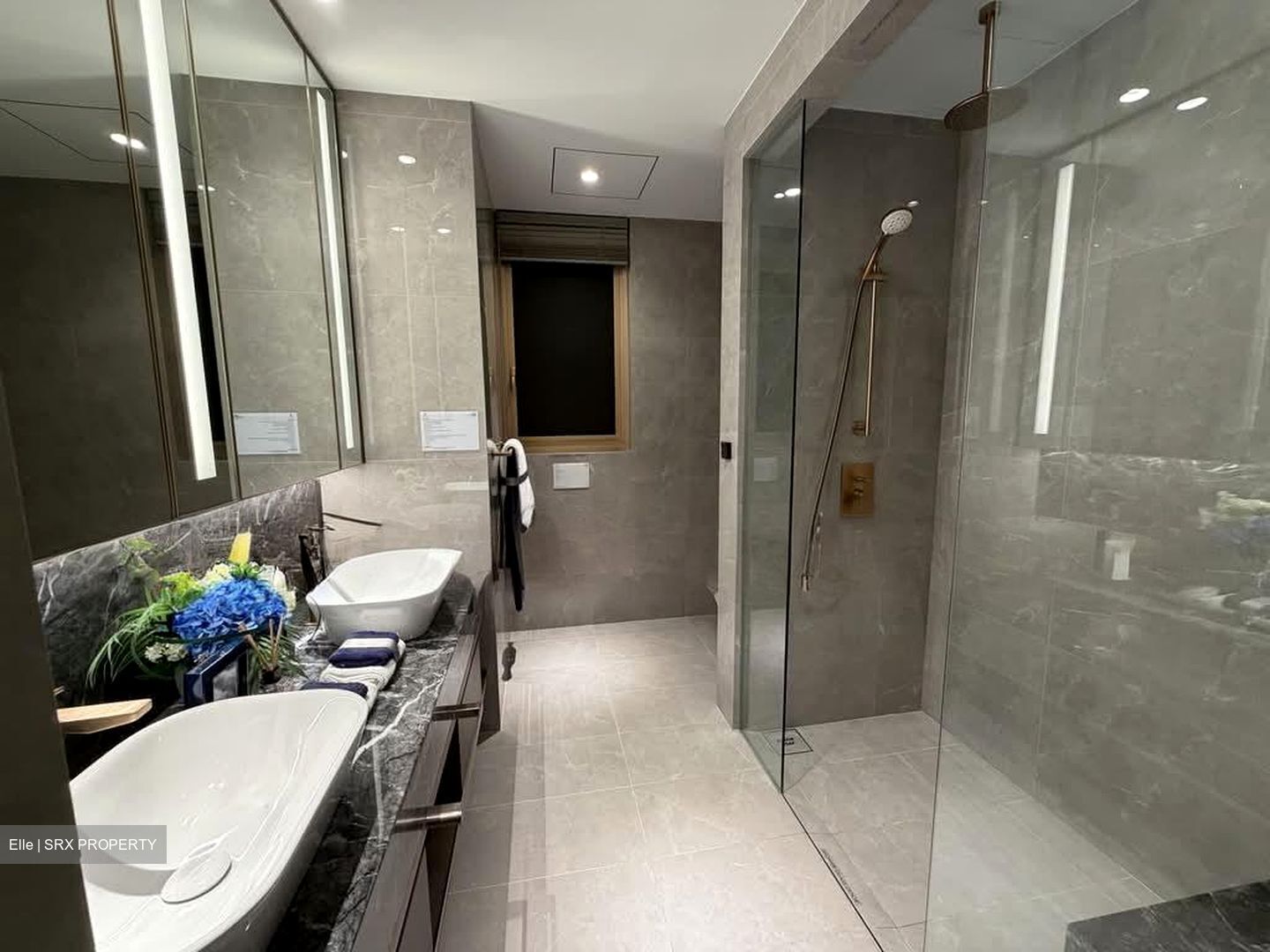 Grand Dunman (D15), Apartment #565761201